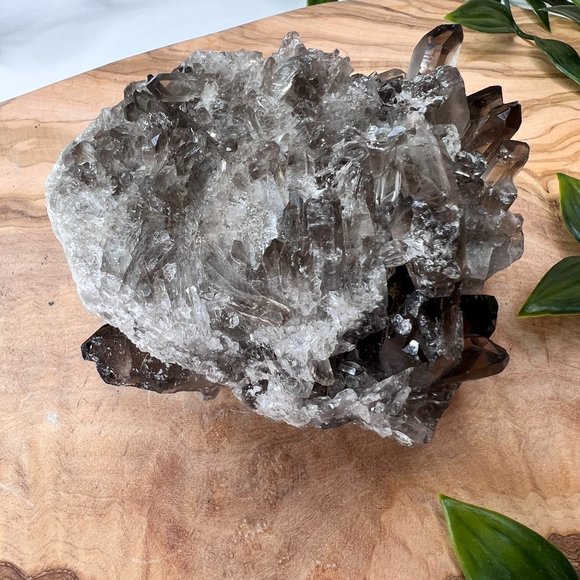 1 lb Double Sided Raw Smoky Quartz Crystal Cluster - A+ Collector Quality - Picture 5 of 13